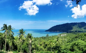 Branded Residences in Nakhon Si Thammarat Are They the Future of Thai Coastal Living 3